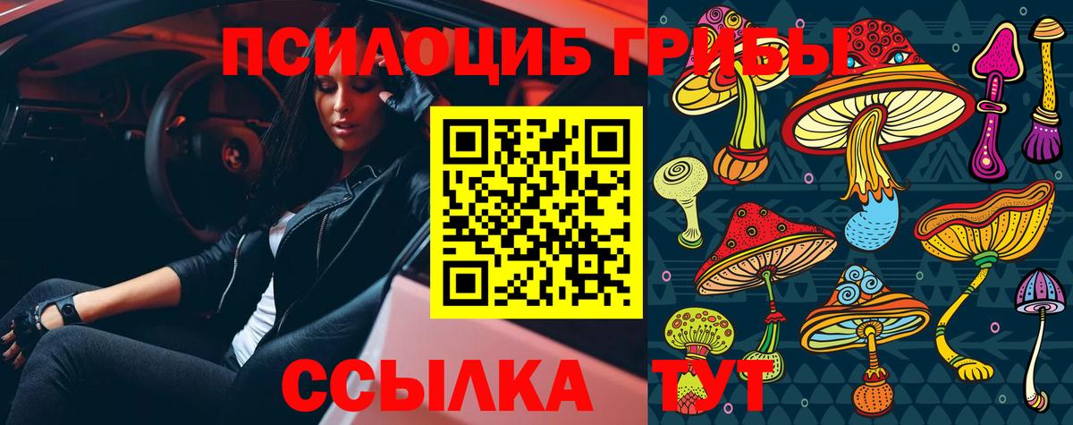 Псилоцибиновые грибы MAGIC MUSHROOMS Жигулёвск